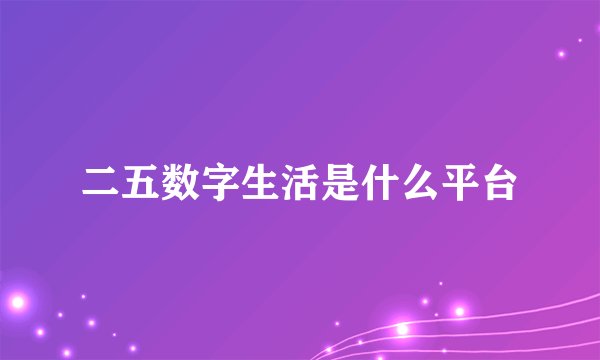 二五数字生活是什么平台