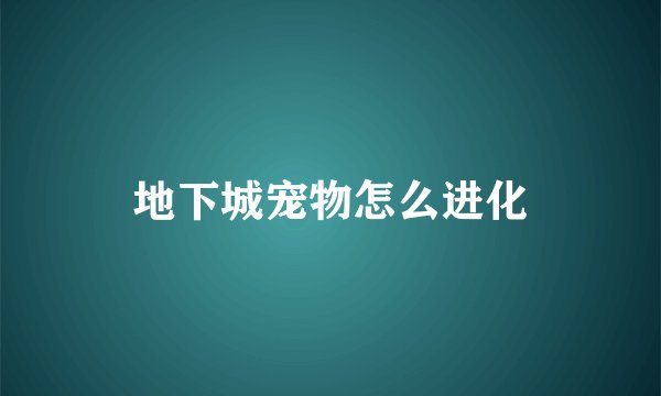 地下城宠物怎么进化