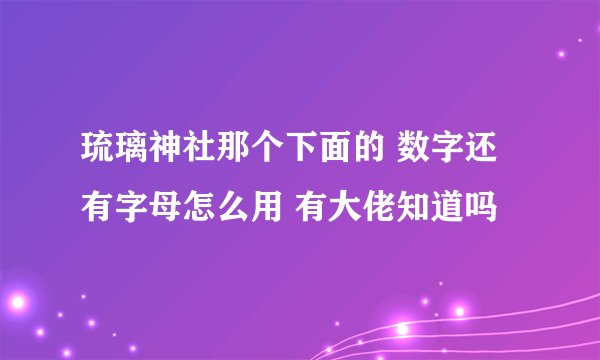 琉璃神社那个下面的 数字还有字母怎么用 有大佬知道吗