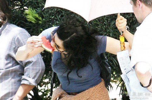 纳凉特辑的纳凉特辑