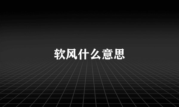软风什么意思