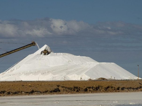 中国的盐矿在哪里