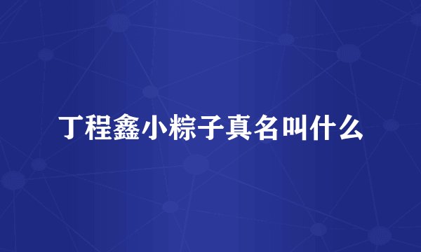 丁程鑫小粽子真名叫什么