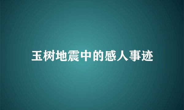 玉树地震中的感人事迹