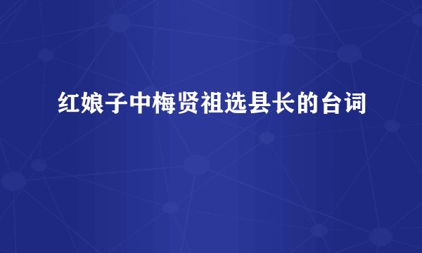 红娘子中梅贤祖选县长的台词