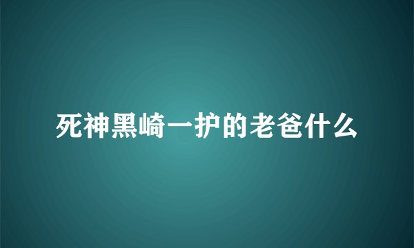 死神黑崎一护的老爸什么