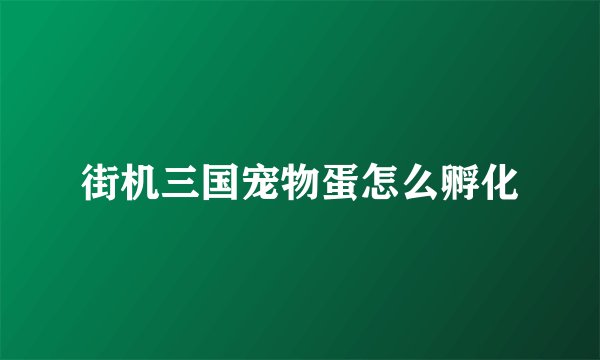街机三国宠物蛋怎么孵化