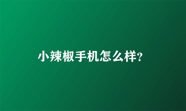 小辣椒手机怎么样？