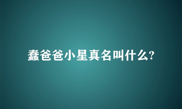 蠢爸爸小星真名叫什么?