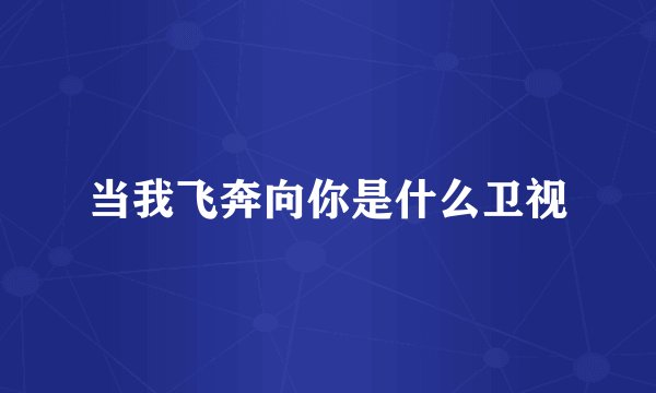 当我飞奔向你是什么卫视