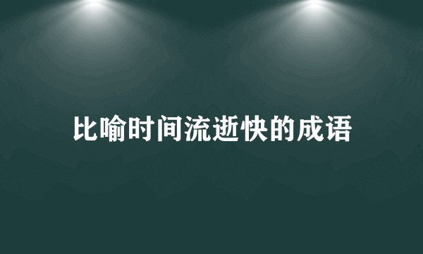 比喻时间流逝快的成语
