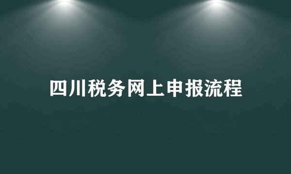 四川税务网上申报流程