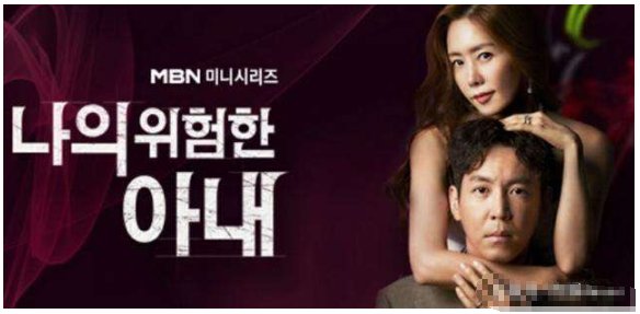 我的危险妻子韩剧剧情介绍