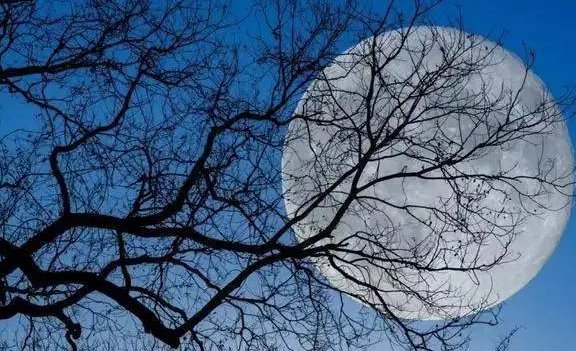 今夕复何夕,共此明月光什么意思