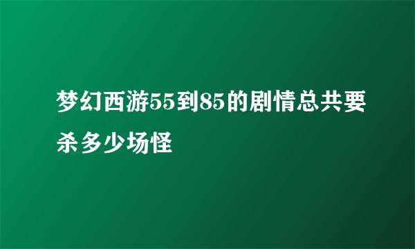 梦幻西游55到85的剧情总共要杀多少场怪