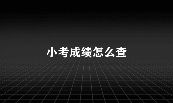 小考成绩怎么查