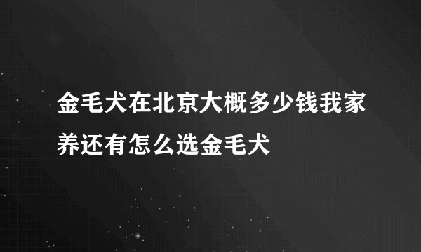 金毛犬在北京大概多少钱我家养还有怎么选金毛犬