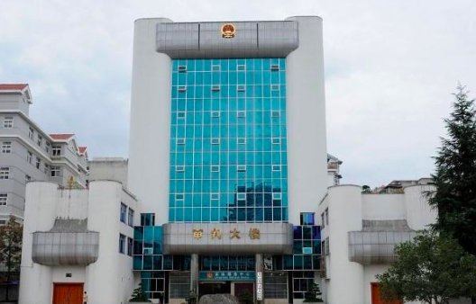 出轨女子忍家暴19年烧死丈夫被如何判决？