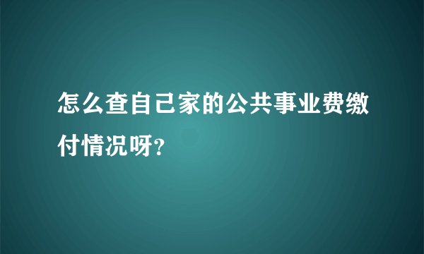 怎么查自己家的公共事业费缴付情况呀？