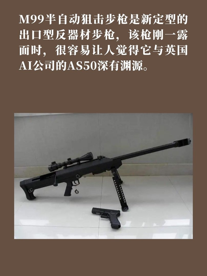 M99半自动狙击步枪