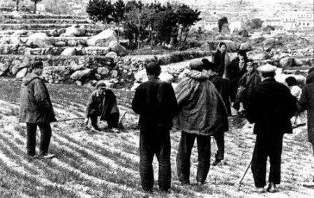 中国是哪年分田（包产）到户？