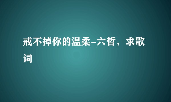 戒不掉你的温柔-六哲，求歌词