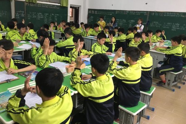 气象一新打一动物生肖
