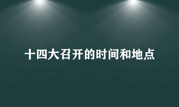 十四大召开的时间和地点