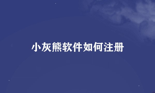 小灰熊软件如何注册