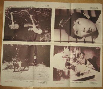 栗色小天使的剧情简介