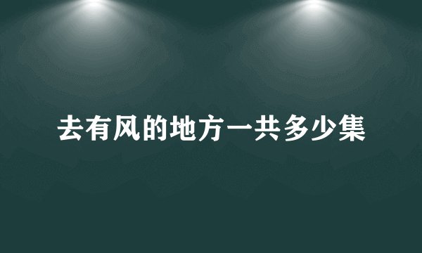 去有风的地方一共多少集