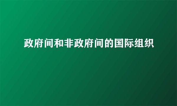 政府间和非政府间的国际组织