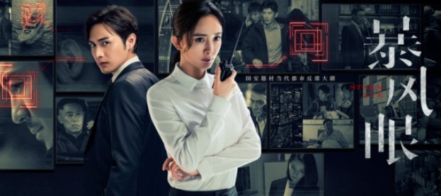 张彬彬主演的电视剧