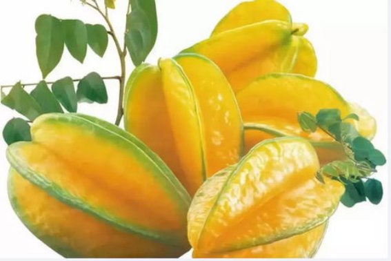 狼来了猜一水果名