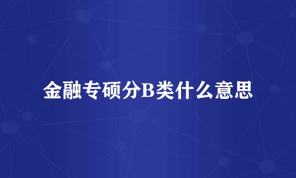 金融专硕分B类什么意思