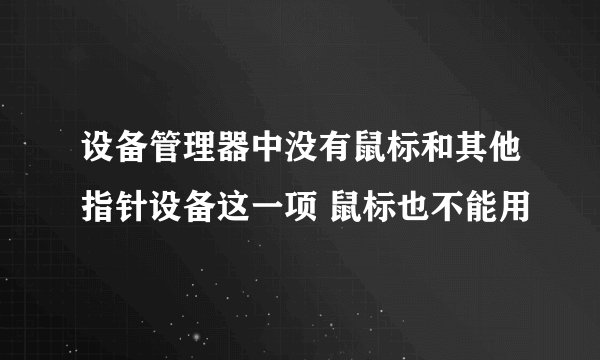 设备管理器中没有鼠标和其他指针设备这一项 鼠标也不能用