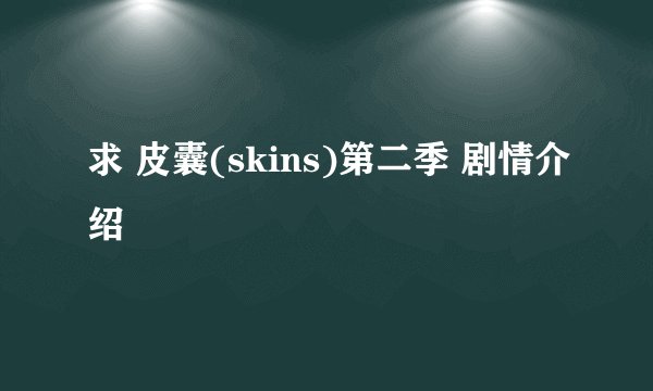 求 皮囊(skins)第二季 剧情介绍