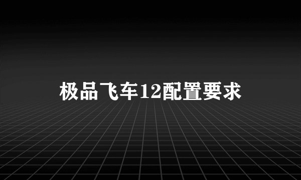 极品飞车12配置要求