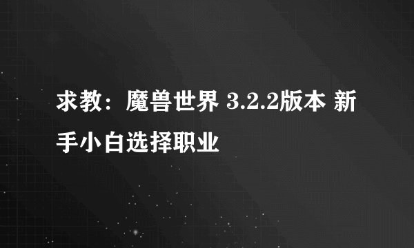 求教：魔兽世界 3.2.2版本 新手小白选择职业