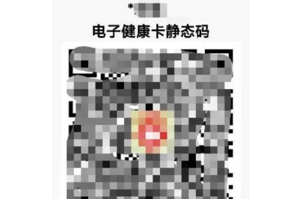 湖北学生静态码怎么弄出来