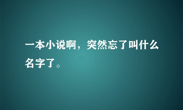 一本小说啊，突然忘了叫什么名字了。