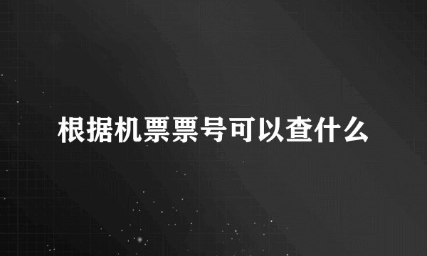 根据机票票号可以查什么