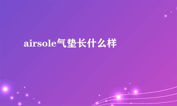 airsole气垫长什么样
