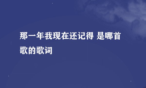 那一年我现在还记得 是哪首歌的歌词