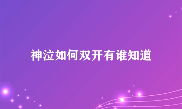 神泣如何双开有谁知道