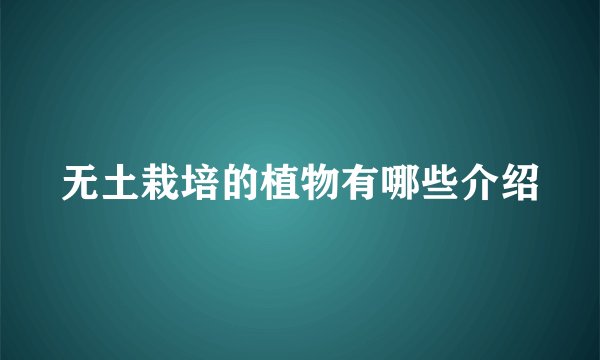 无土栽培的植物有哪些介绍