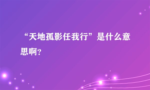 “天地孤影任我行”是什么意思啊？