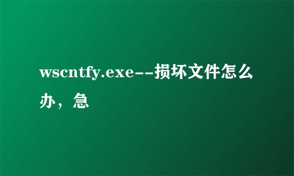 wscntfy.exe--损坏文件怎么办，急