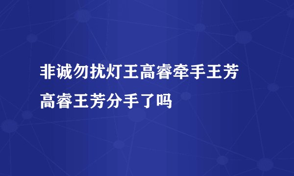 非诚勿扰灯王高睿牵手王芳 高睿王芳分手了吗