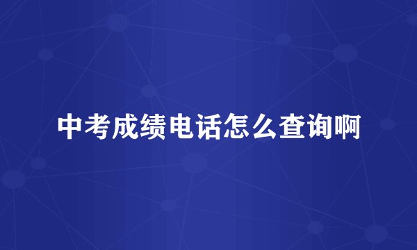 中考成绩电话怎么查询啊